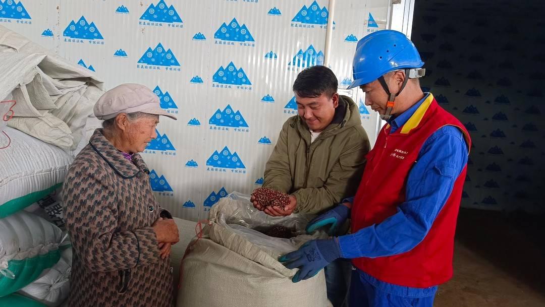 初秋盐源润盐镇花椒飘香,国网凉山供电护航产业发展插图1 初秋盐源润盐镇花椒飘香,国网凉山供电护航产业发展插图1