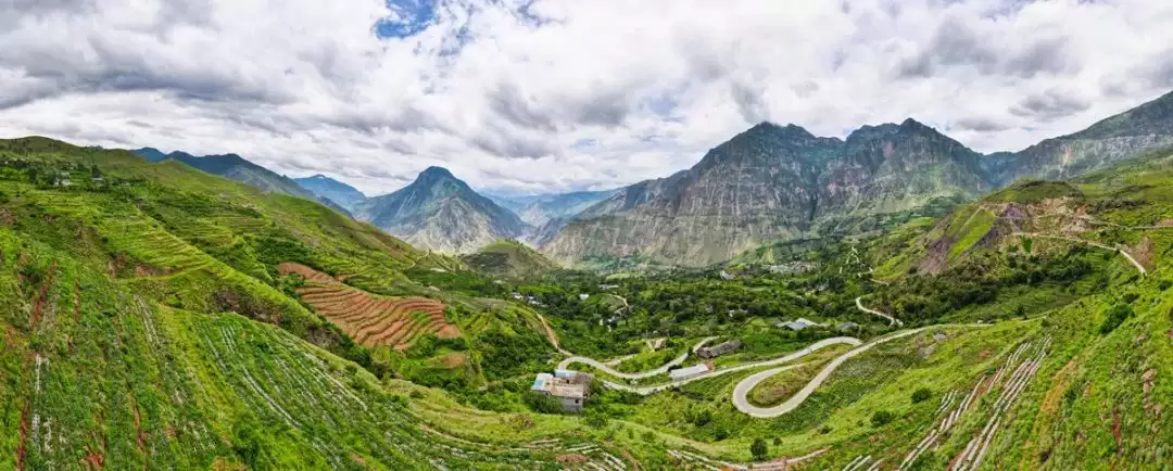 会东县淌塘镇大田坝村：仙人掌扎根山乡 开拓特色产业振兴新路径插图3