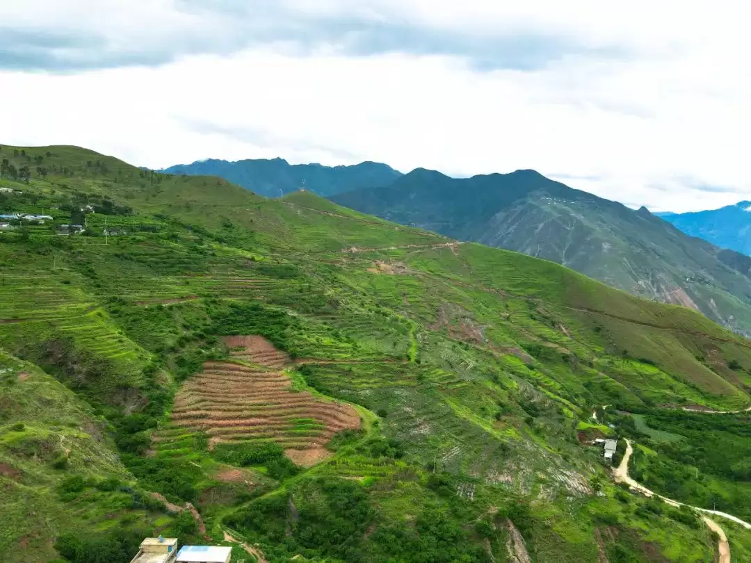 会东县淌塘镇大田坝村：仙人掌扎根山乡 开拓特色产业振兴新路径-会东网