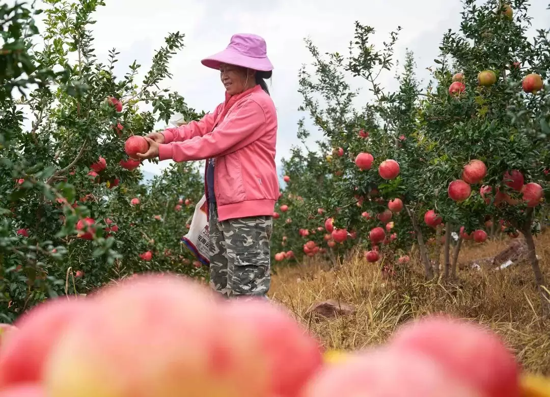 会东夏日清凉指南:解锁自然里的亲子狂欢时光插图2 会东夏日清凉指南:解锁自然里的亲子狂欢时光插图2