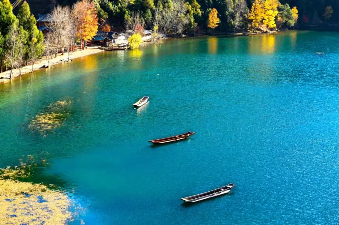 跳出 “浪浪山” 迷茫?来盐源搭建观景台,以湖光、烟火与历史校准内心插图4 跳出 “浪浪山” 迷茫?来盐源搭建观景台,以湖光、烟火与历史校准内心插图4