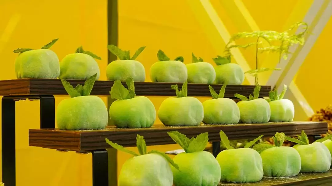 跳出 “浪浪山” 迷茫?来盐源搭建观景台,以湖光、烟火与历史校准内心插图13 跳出 “浪浪山” 迷茫?来盐源搭建观景台,以湖光、烟火与历史校准内心插图13