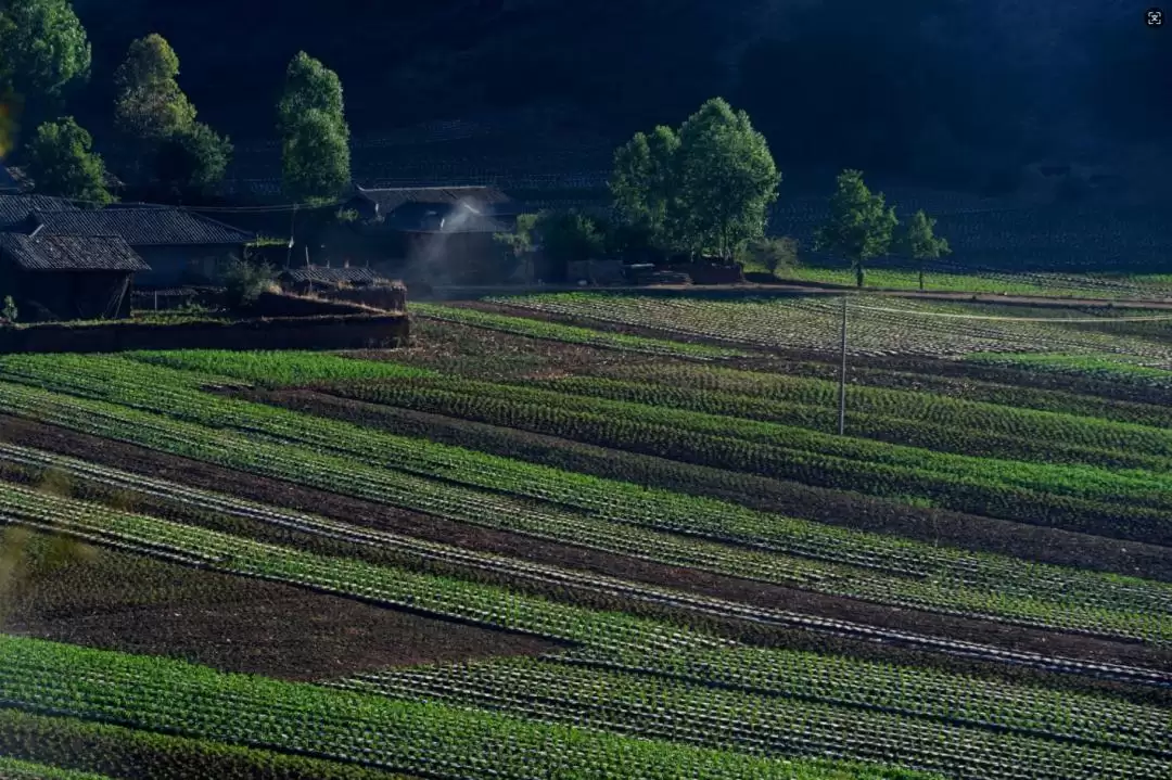 跳出 “浪浪山” 迷茫?来盐源搭建观景台,以湖光、烟火与历史校准内心插图2 跳出 “浪浪山” 迷茫?来盐源搭建观景台,以湖光、烟火与历史校准内心插图2