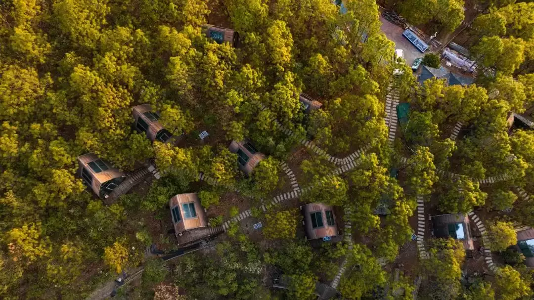 八月暑热难耐?来会东解锁 “清凉密码”,带娃畅享自然避暑狂欢!插图9 八月暑热难耐?来会东解锁 “清凉密码”,带娃畅享自然避暑狂欢!插图9