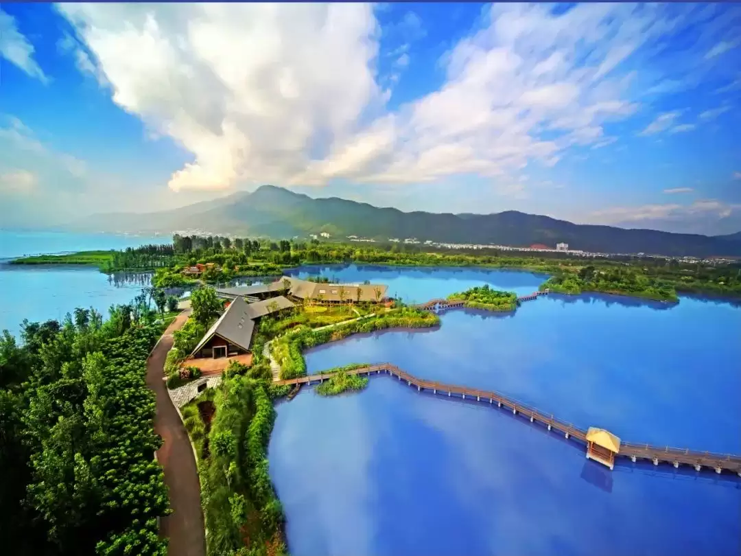 2025 大凉山烧烤美食季：品味烟火气，解锁凉山四季的浪漫邀约插图23