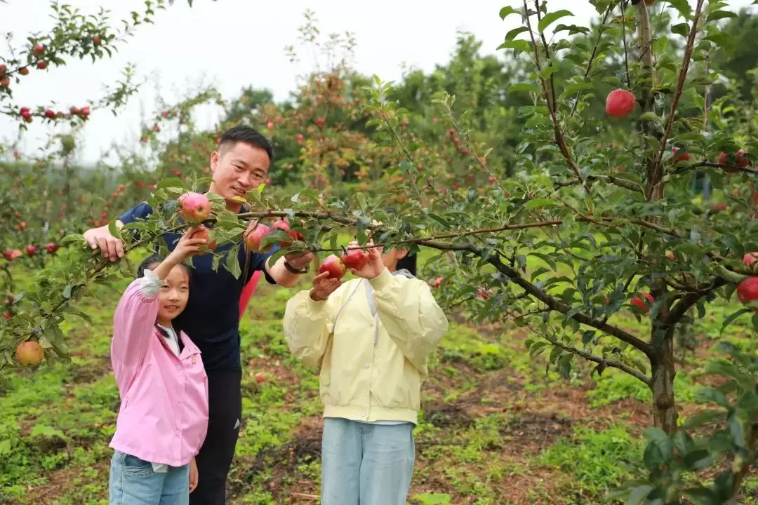 姜州镇:农文旅融合绘就乡村振兴新图景插图2 姜州镇:农文旅融合绘就乡村振兴新图景插图2