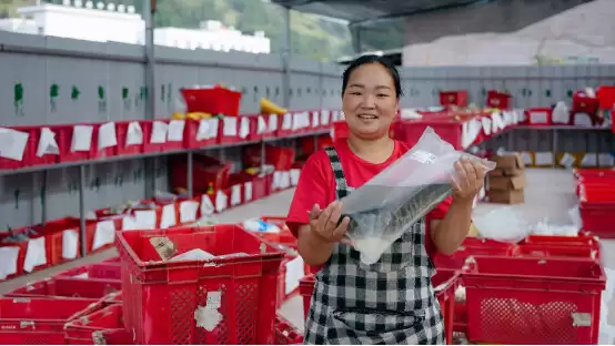 多多买菜进凉山:从餐桌之变到生活之兴插图1 多多买菜进凉山:从餐桌之变到生活之兴插图1