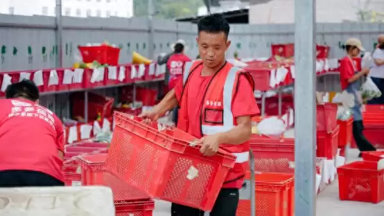 多多买菜进凉山:从餐桌之变到生活之兴插图 多多买菜进凉山:从餐桌之变到生活之兴插图