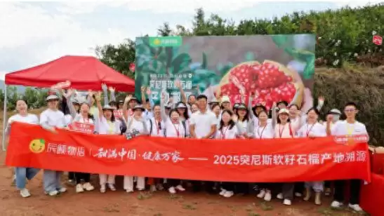 辰颐物语溯源四川凉山会理,助力 “中国石榴之乡” 石榴畅销,推动乡村振兴-会东网