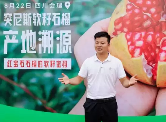 辰颐物语溯源四川凉山会理,助力 “中国石榴之乡” 石榴畅销,推动乡村振兴插图2 辰颐物语溯源四川凉山会理,助力 “中国石榴之乡” 石榴畅销,推动乡村振兴插图2