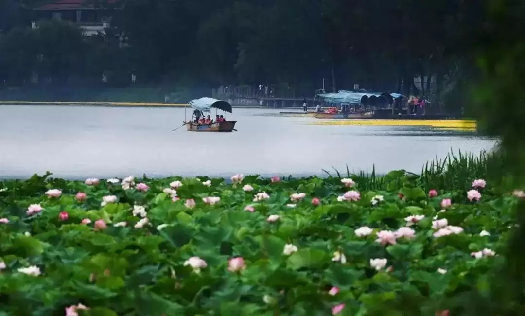 七夕相约凉山:在湖光山色与民俗风情中镌刻浪漫爱情记忆插图5 七夕相约凉山:在湖光山色与民俗风情中镌刻浪漫爱情记忆插图5