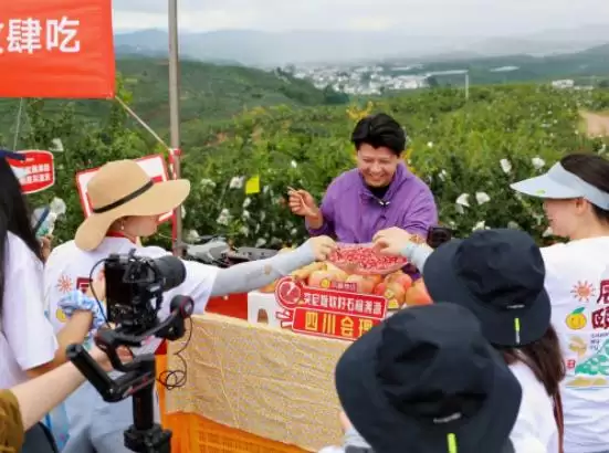 辰颐物语溯源四川凉山会理,助力 “中国石榴之乡” 石榴畅销,推动乡村振兴插图3 辰颐物语溯源四川凉山会理,助力 “中国石榴之乡” 石榴畅销,推动乡村振兴插图3