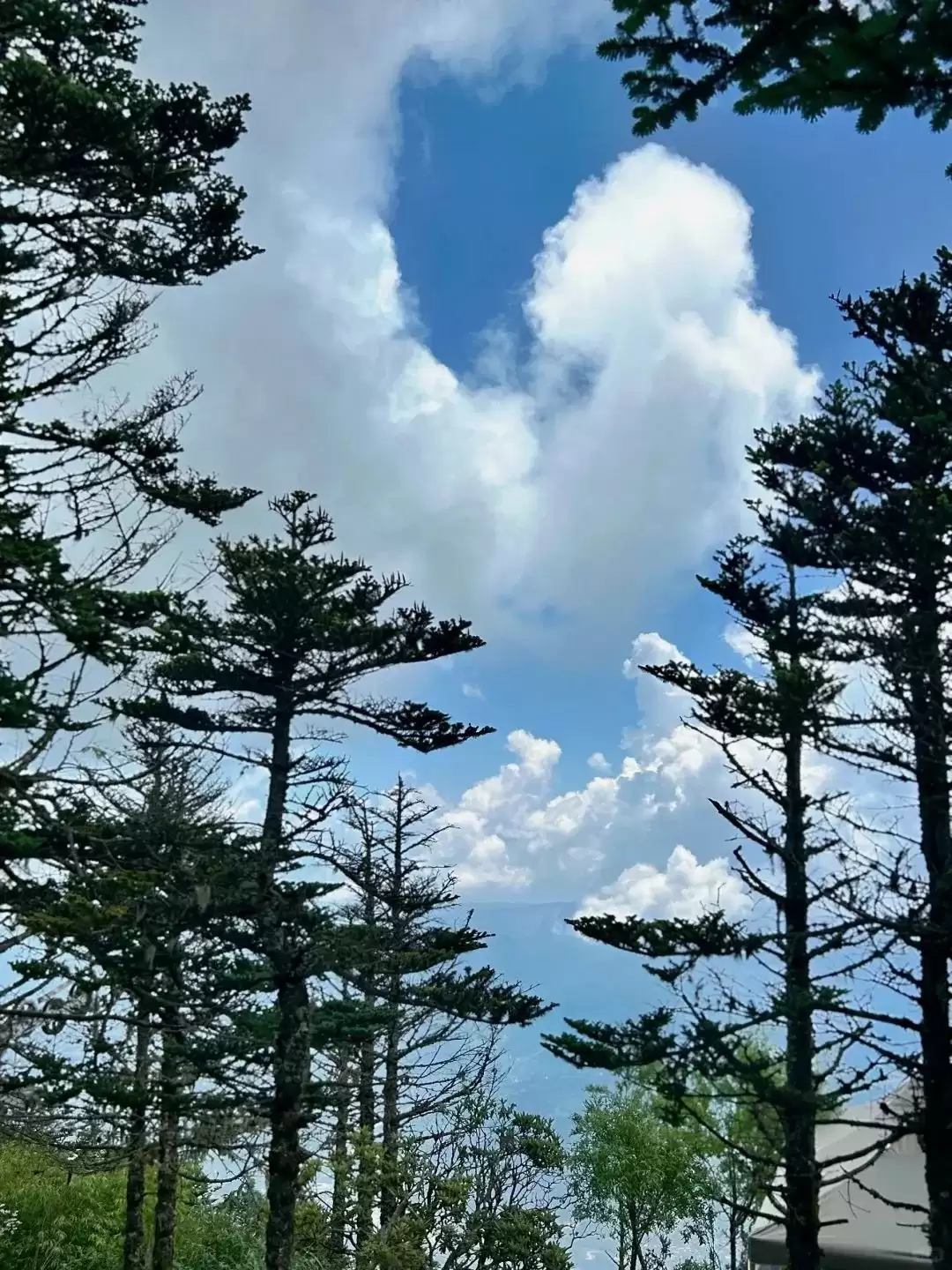 七夕相约凉山:在湖光山色与民俗风情中镌刻浪漫爱情记忆插图23 七夕相约凉山:在湖光山色与民俗风情中镌刻浪漫爱情记忆插图23