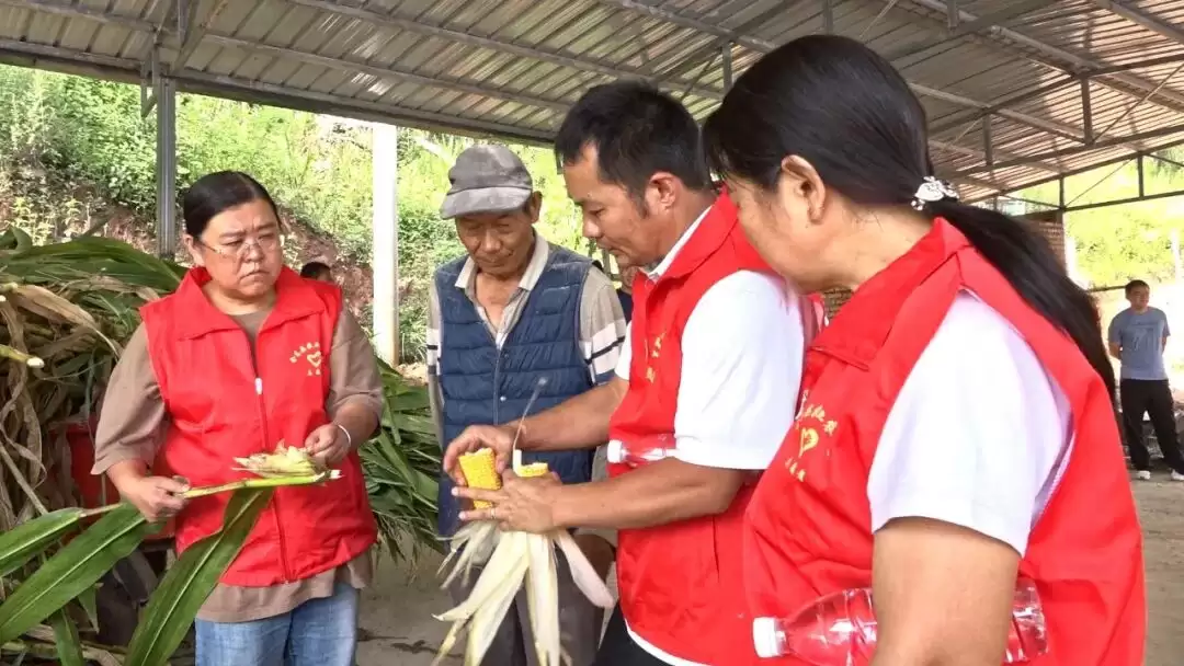 会东县:技术下沉赋能肉羊养殖,特色产业激活乡村振兴新动能-会东网