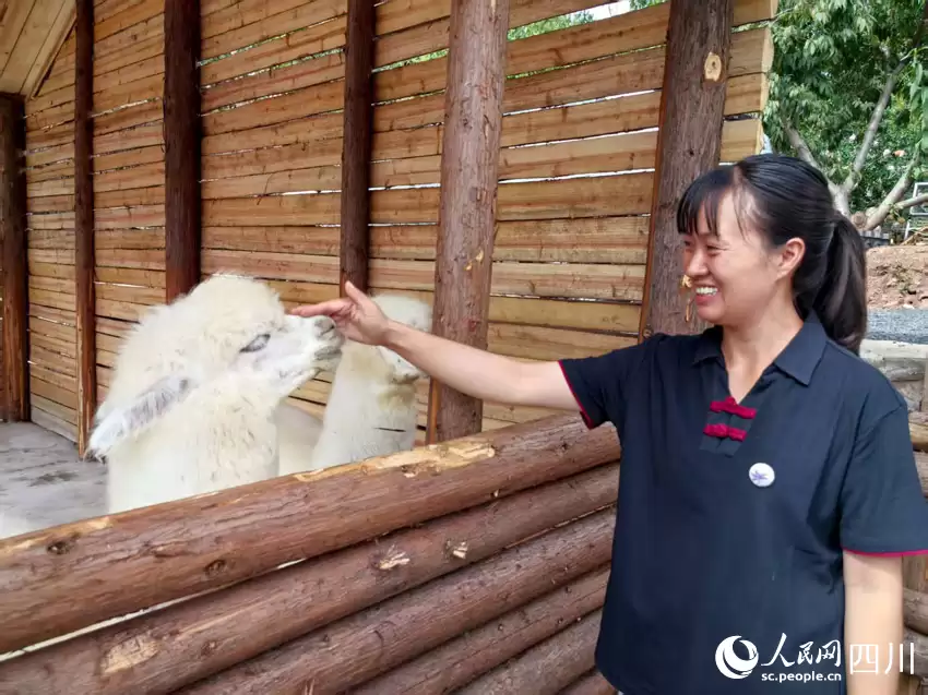 “陌上姜州”:石榴映红文旅路,农旅融合点亮幸福生活插图1 “陌上姜州”:石榴映红文旅路,农旅融合点亮幸福生活插图1
