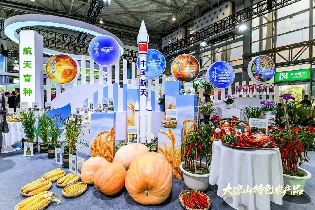 第十一届农博会凉山展馆惊艳亮相:科技生态融合,尽显特色农产品与民族文化魅力-会东网