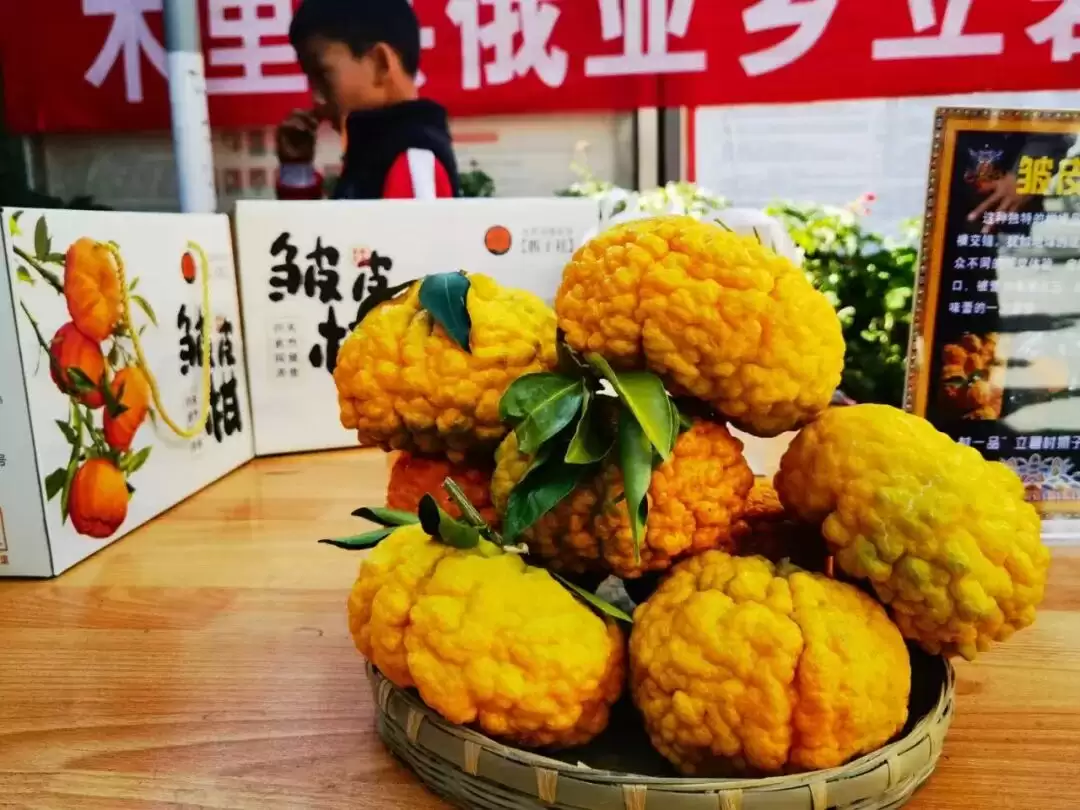 九月秋风起,凉山 “文化力” 爆棚!9 – 10 月金秋文旅活动游玩攻略插图2 九月秋风起,凉山 “文化力” 爆棚!9 – 10 月金秋文旅活动游玩攻略插图2