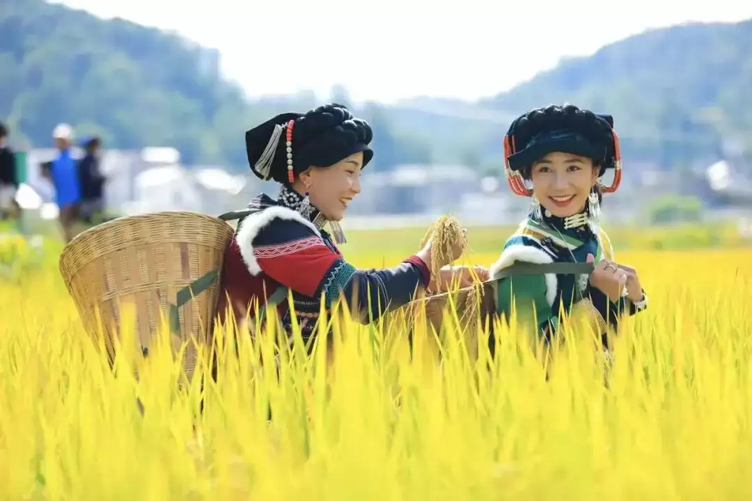 九月秋风起,凉山 “文化力” 爆棚!9 – 10 月金秋文旅活动游玩攻略插图8 九月秋风起,凉山 “文化力” 爆棚!9 – 10 月金秋文旅活动游玩攻略插图8