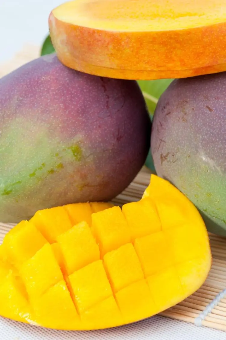 探秘攀枝花仁和臻芒:品种多样、品质上乘背后的故事与品牌内涵插图1 探秘攀枝花仁和臻芒:品种多样、品质上乘背后的故事与品牌内涵插图1