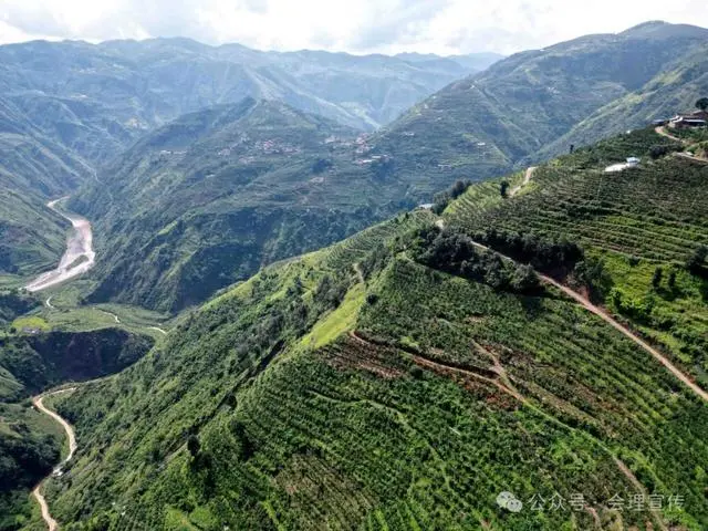 凉山初秋甜蜜来袭:越西苹果脆甜酥爽,会理石榴粒大爆汁,千万别错过!插图24 凉山初秋甜蜜来袭:越西苹果脆甜酥爽,会理石榴粒大爆汁,千万别错过!插图24