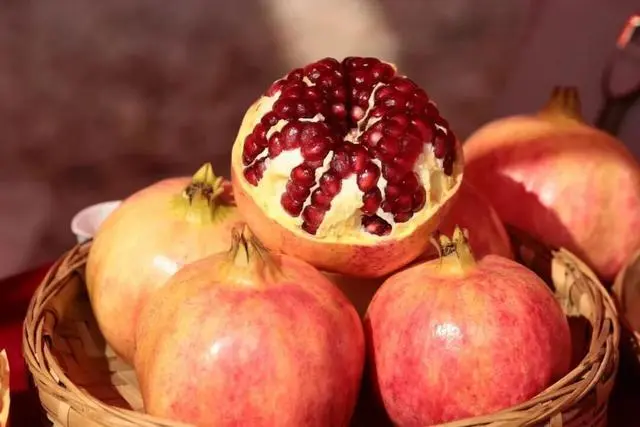 凉山初秋甜蜜来袭:越西苹果脆甜酥爽,会理石榴粒大爆汁,千万别错过!插图17 凉山初秋甜蜜来袭:越西苹果脆甜酥爽,会理石榴粒大爆汁,千万别错过!插图17