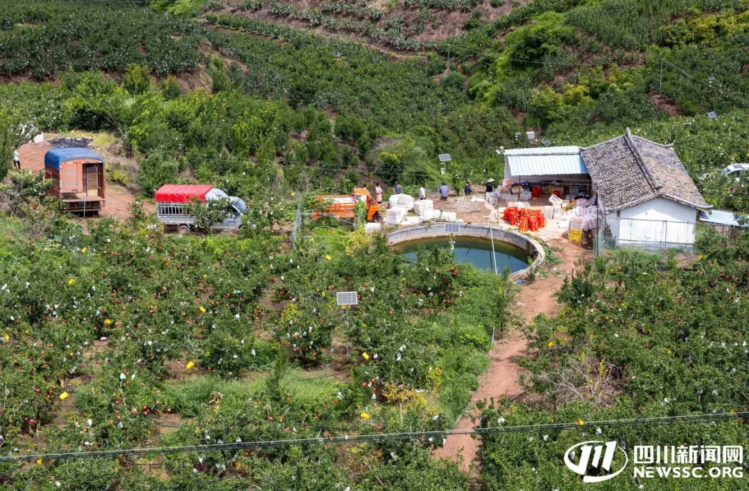 2025 会理石榴丰收节 9.23 启幕:“会理榴香・甜透八方”,多活动打造 “农业 + 文旅” 盛宴插图2 2025 会理石榴丰收节 9.23 启幕:“会理榴香・甜透八方”,多活动打造 “农业 + 文旅” 盛宴插图2