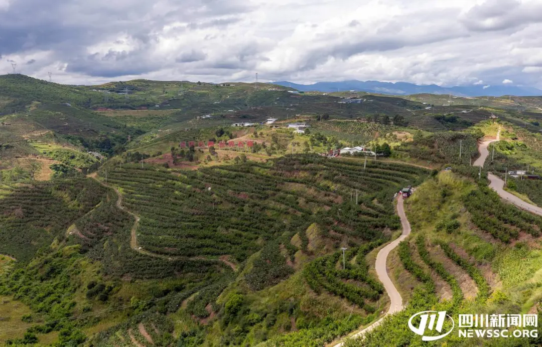 2025 会理石榴丰收节 9.23 启幕:“会理榴香・甜透八方”,多活动打造 “农业 + 文旅” 盛宴-会东网