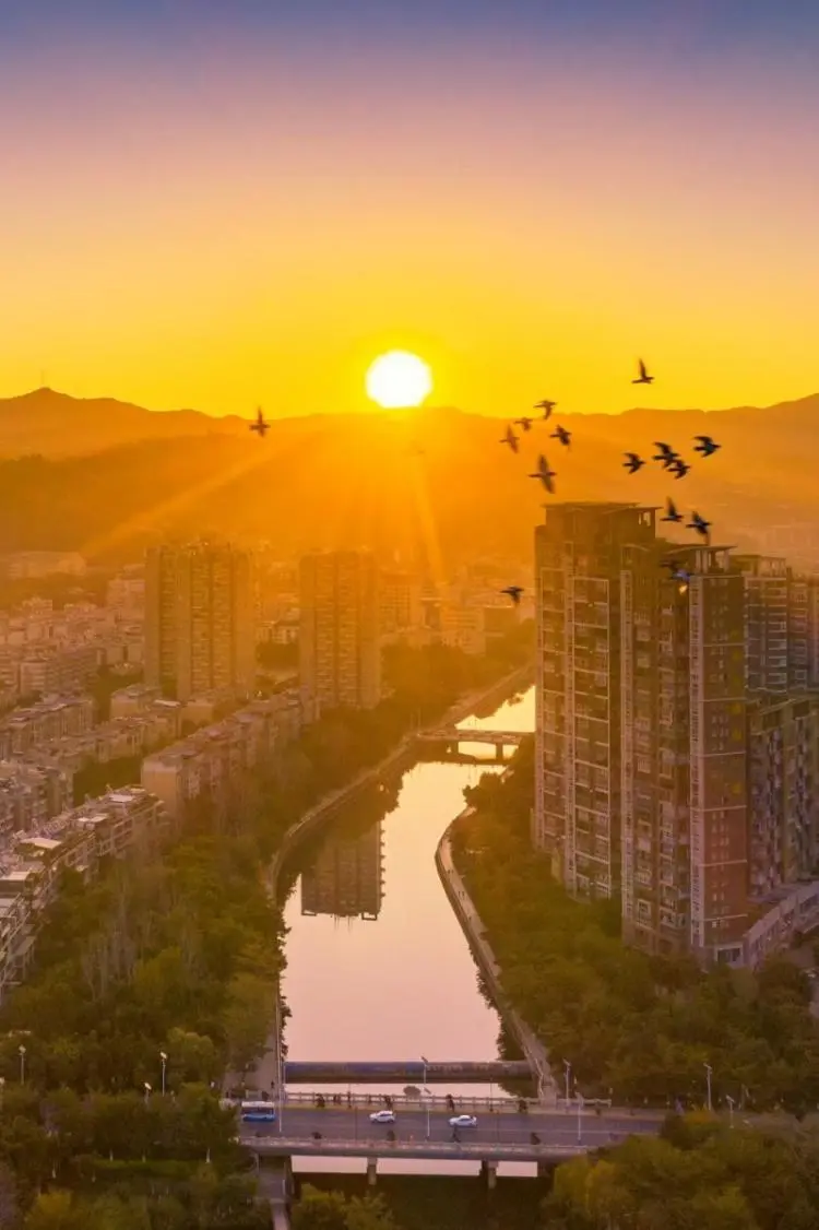 探秘攀枝花仁和臻芒:品种多样、品质上乘背后的故事与品牌内涵插图8 探秘攀枝花仁和臻芒:品种多样、品质上乘背后的故事与品牌内涵插图8