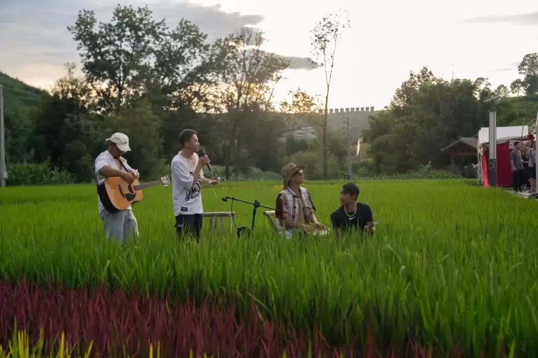 2025 四川省 “天府百姓大舞台” 攀西片区汇演暨 “和美乡村・稻会东” 田园丰收季来袭,川滇文化盛宴等你体验!插图30 2025 四川省 “天府百姓大舞台” 攀西片区汇演暨 “和美乡村・稻会东” 田园丰收季来袭,川滇文化盛宴等你体验!插图30