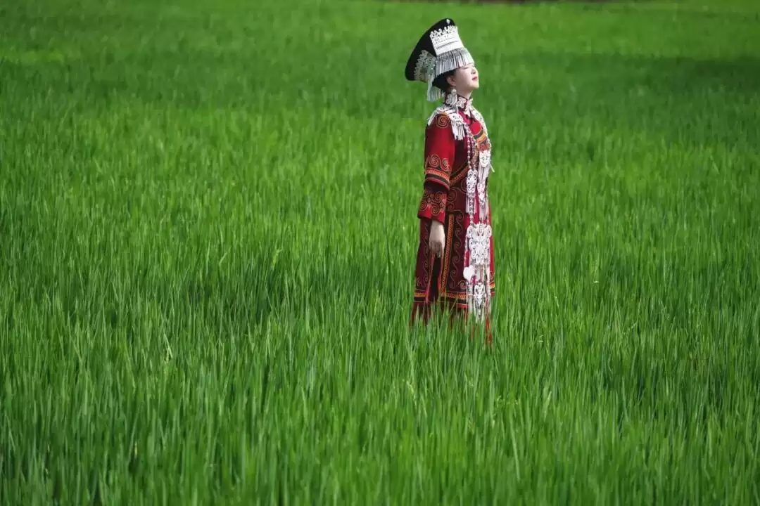 2025 四川省 “天府百姓大舞台” 攀西片区汇演暨 “和美乡村・稻会东” 田园丰收季来袭,川滇文化盛宴等你体验!插图32 2025 四川省 “天府百姓大舞台” 攀西片区汇演暨 “和美乡村・稻会东” 田园丰收季来袭,川滇文化盛宴等你体验!插图32