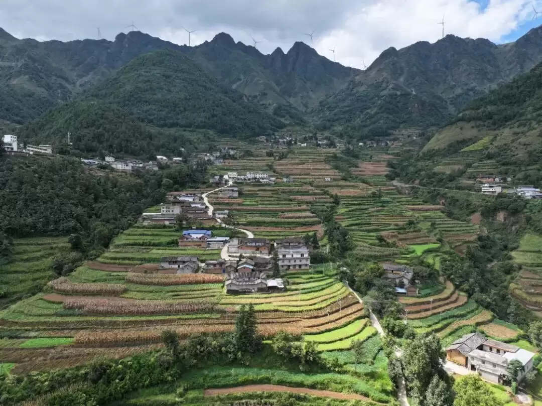 从烟站站长到驻村书记,王兴华在拖着村谱写振兴乐章-会东网
