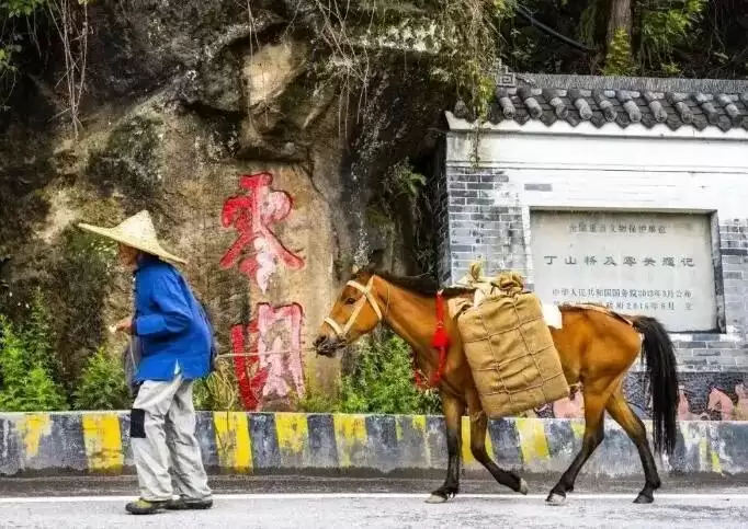 凉山之美:自然、文化与历史交织的五彩画卷插图9 凉山之美:自然、文化与历史交织的五彩画卷插图9