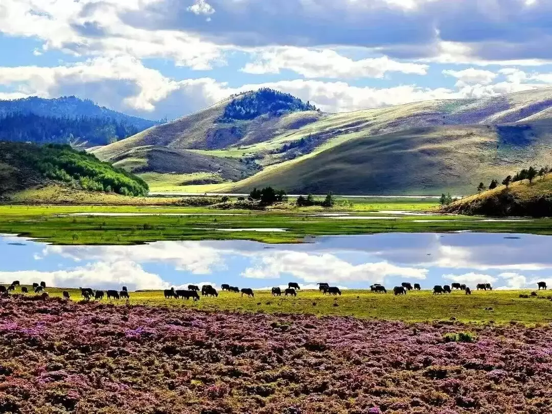 赛场外的惊喜:走进川超背后五彩斑斓的凉山,开启超值之旅插图26 赛场外的惊喜:走进川超背后五彩斑斓的凉山,开启超值之旅插图26