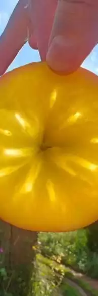 赛场外的惊喜:走进川超背后五彩斑斓的凉山,开启超值之旅插图36 赛场外的惊喜:走进川超背后五彩斑斓的凉山,开启超值之旅插图36