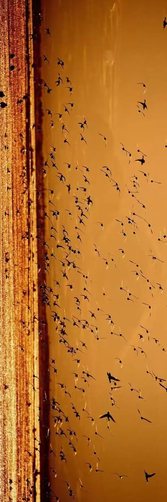 赛场外的惊喜:走进川超背后五彩斑斓的凉山,开启超值之旅插图15 赛场外的惊喜:走进川超背后五彩斑斓的凉山,开启超值之旅插图15