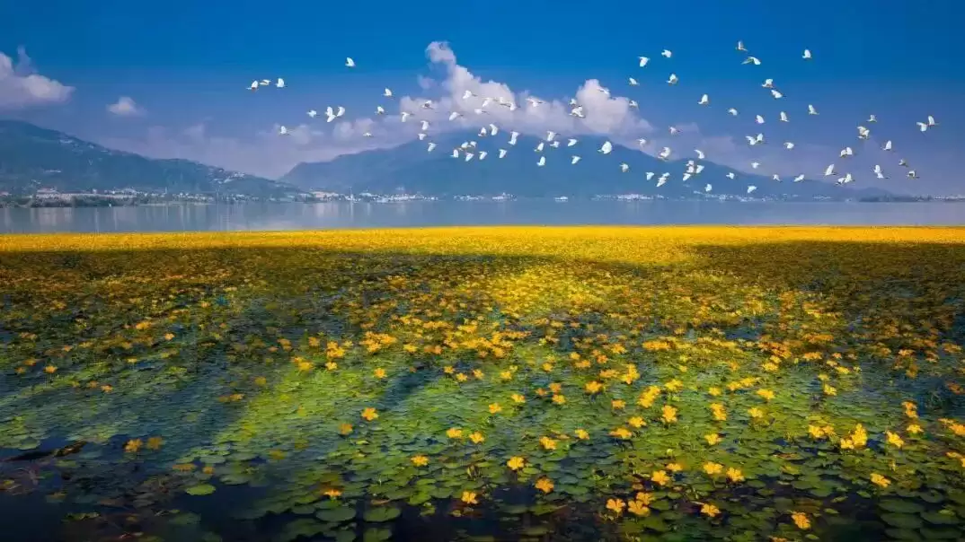 赛场外的惊喜:走进川超背后五彩斑斓的凉山,开启超值之旅插图12 赛场外的惊喜:走进川超背后五彩斑斓的凉山,开启超值之旅插图12