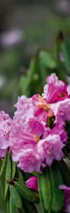 赛场外的惊喜:走进川超背后五彩斑斓的凉山,开启超值之旅插图13 赛场外的惊喜:走进川超背后五彩斑斓的凉山,开启超值之旅插图13