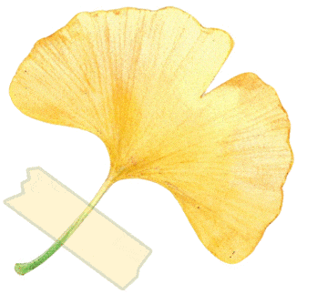 赛场外的惊喜:走进川超背后五彩斑斓的凉山,开启超值之旅插图31 赛场外的惊喜:走进川超背后五彩斑斓的凉山,开启超值之旅插图31