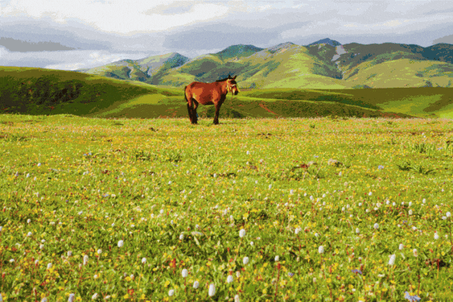 赛场外的惊喜:走进川超背后五彩斑斓的凉山,开启超值之旅插图 赛场外的惊喜:走进川超背后五彩斑斓的凉山,开启超值之旅插图