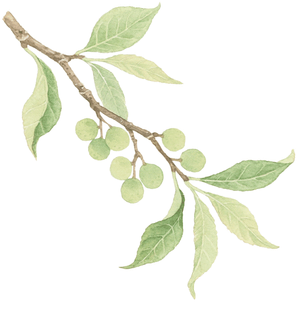 赛场外的惊喜:走进川超背后五彩斑斓的凉山,开启超值之旅插图11 赛场外的惊喜:走进川超背后五彩斑斓的凉山,开启超值之旅插图11