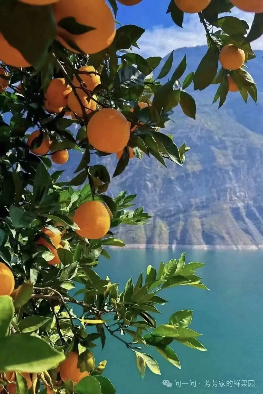 赛场外的惊喜:走进川超背后五彩斑斓的凉山,开启超值之旅插图35 赛场外的惊喜:走进川超背后五彩斑斓的凉山,开启超值之旅插图35