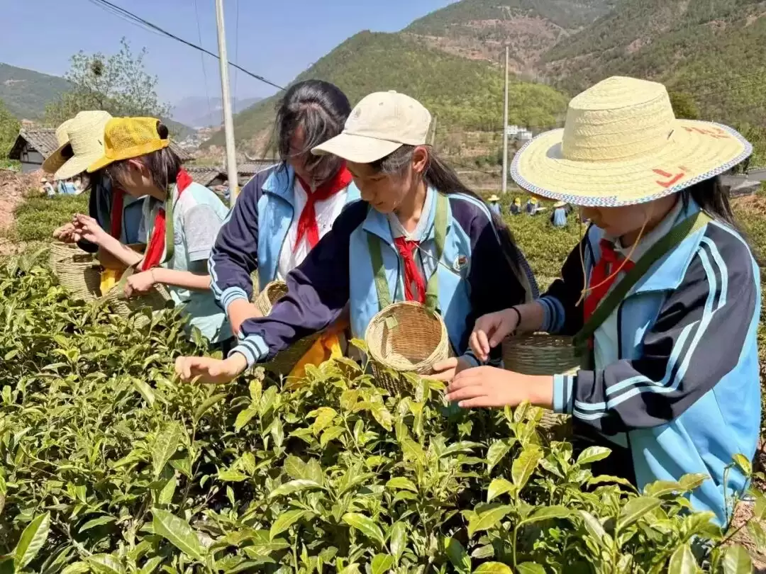 川超联赛巅峰对决:凉山与攀枝花,赛场内外的文旅同源探秘插图14 川超联赛巅峰对决:凉山与攀枝花,赛场内外的文旅同源探秘插图14