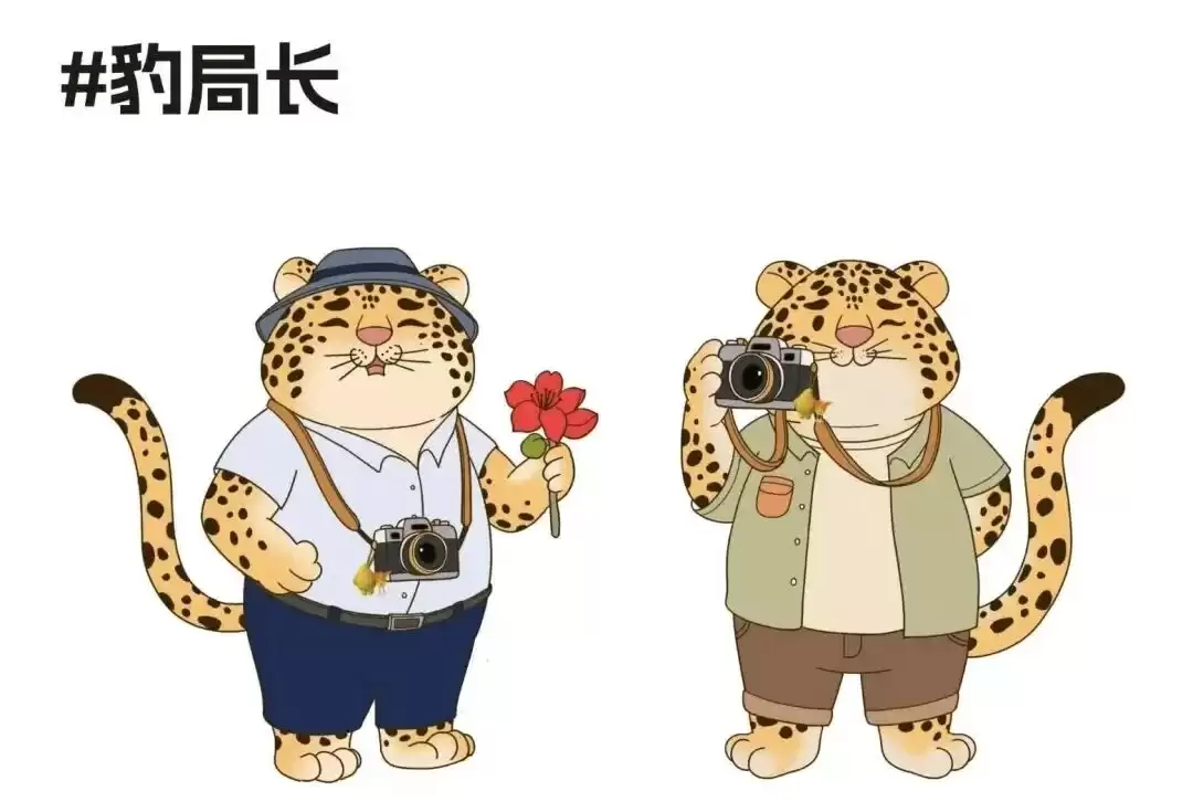 川超联赛巅峰对决:凉山与攀枝花,赛场内外的文旅同源探秘插图15 川超联赛巅峰对决:凉山与攀枝花,赛场内外的文旅同源探秘插图15