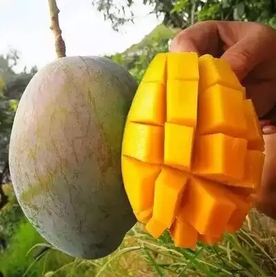 川超联赛巅峰对决:凉山与攀枝花,赛场内外的文旅同源探秘插图12 川超联赛巅峰对决:凉山与攀枝花,赛场内外的文旅同源探秘插图12