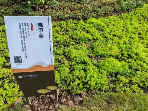 深秋会东中医院医技综合楼启用,一站式智慧医疗与特色康复等亮点纷呈插图3 深秋会东中医院医技综合楼启用,一站式智慧医疗与特色康复等亮点纷呈插图3