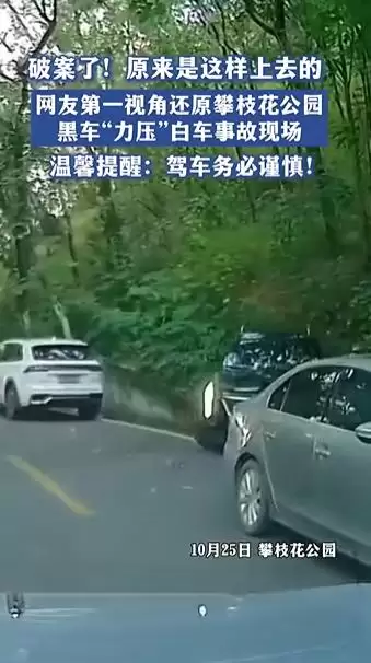 攀枝花公园内一 SUV “倒立” 路边边坡 交警:新手司机操作不当致事故-会东网