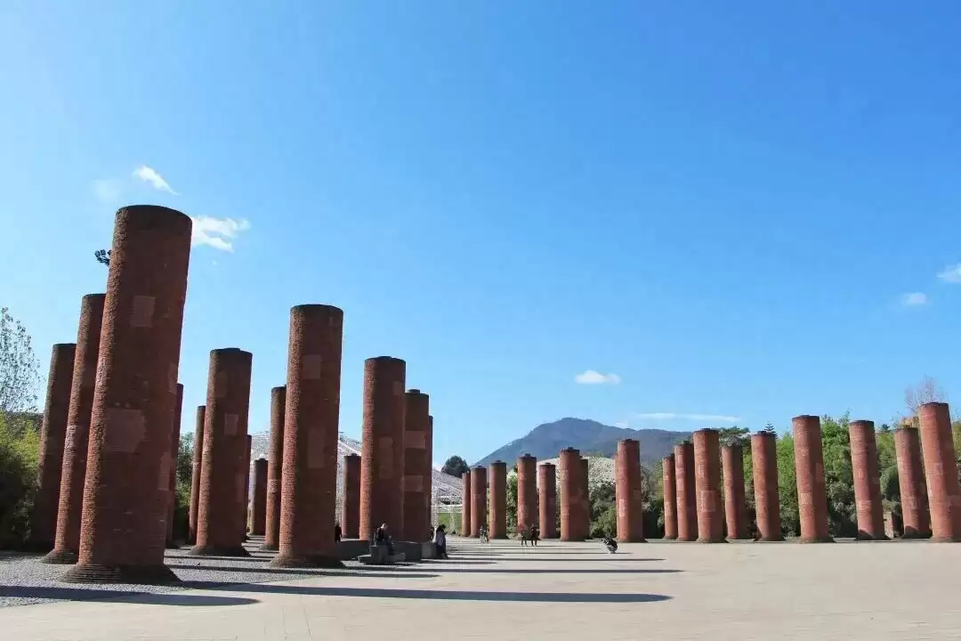 西昌邛海湿地马拉松:解锁 42 公里 “最美赛道” 的文旅盲盒-会东网