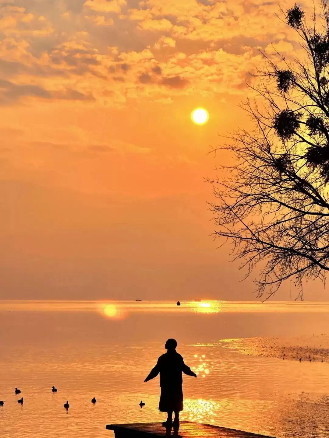 西昌邛海湿地马拉松 11.1 开跑!两天一晚畅玩攻略,尽享美景与美食插图5 西昌邛海湿地马拉松 11.1 开跑!两天一晚畅玩攻略,尽享美景与美食插图5