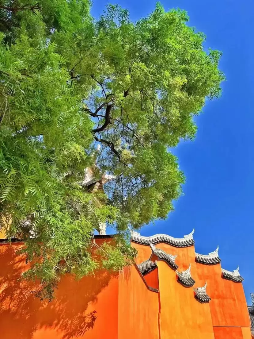 西昌邛海湿地马拉松 11.1 开跑!两天一晚畅玩攻略,尽享美景与美食插图36 西昌邛海湿地马拉松 11.1 开跑!两天一晚畅玩攻略,尽享美景与美食插图36