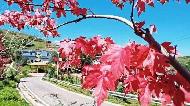 跟着大凉山戏剧节游凉山:五条线路,探秘十余个 “自然剧场” 的独特魅力插图9 跟着大凉山戏剧节游凉山:五条线路,探秘十余个 “自然剧场” 的独特魅力插图9